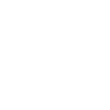 CSS logo